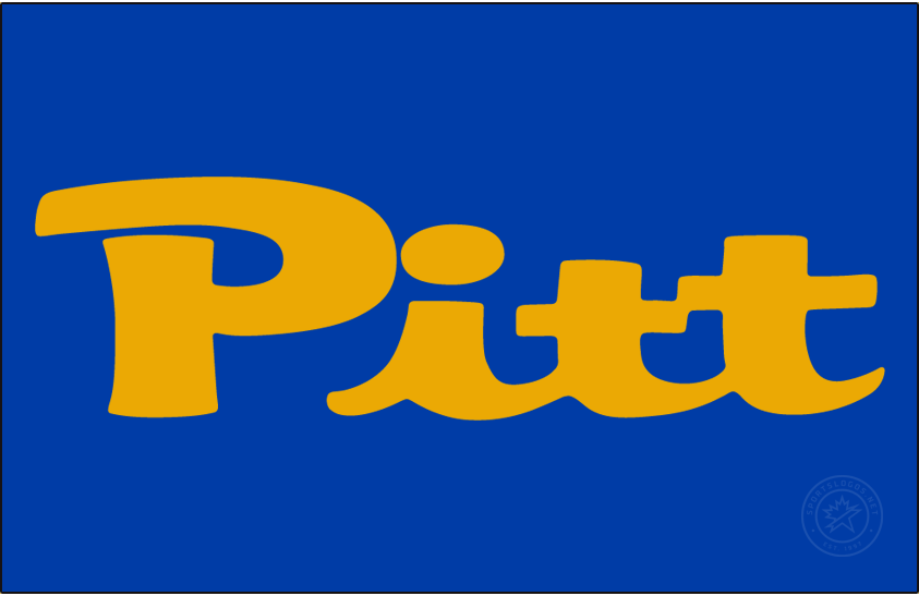 Pittsburgh Panthers 1959-1966 Alt on Dark Logo diy iron on heat transfer